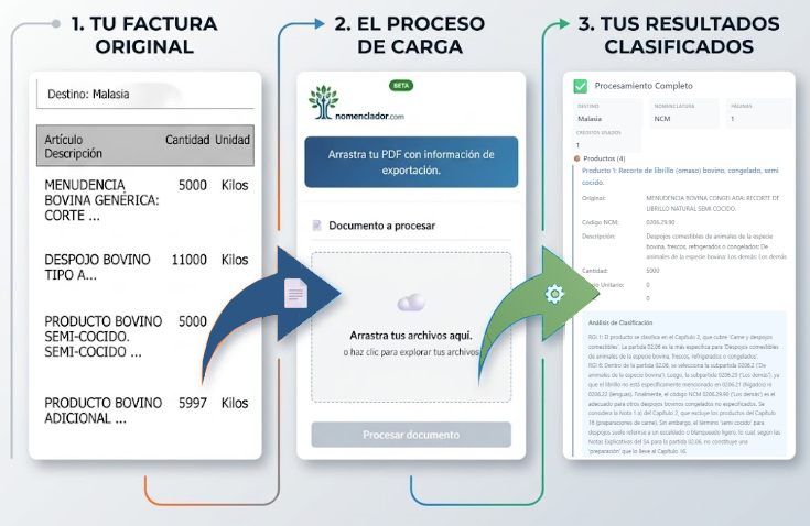 Cómo funciona Nomenclador.com